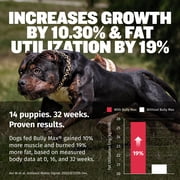 Bully Max 3-in-1 Muscle Gain Bacon Flavored Liquid Supplement for Dogs, 16 fl. oz. Pouch