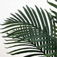 thumbnail image 3 of Nearly Natural 60" Golden Cane Artificial Palm Tree in Green/Black, 3 of 6