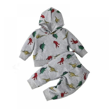 

Xinhuaya Toddler Infant Baby Boys Dinosaur Long Sleeve Hoodie Tops Sweatsuit Pants Outfit Set 12-18 Months