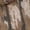 Legacy Camo (New 2025), variant on Realtree Men's Hunting APX Camo Short Sleeve Cotton Shirt, Lightweight, Soft & Breathable, L