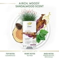 thumbnail image 3 of Dove Care by Plants Sandalwood 24H Deodorant 2.6 oz, 3 of 12