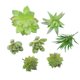 thumbnail image 1 of Simulación de traje carnoso, simulación de cabeza de flor, simulación de ramo, simulación de planta, decoraciones para el hogar, 1 of 6