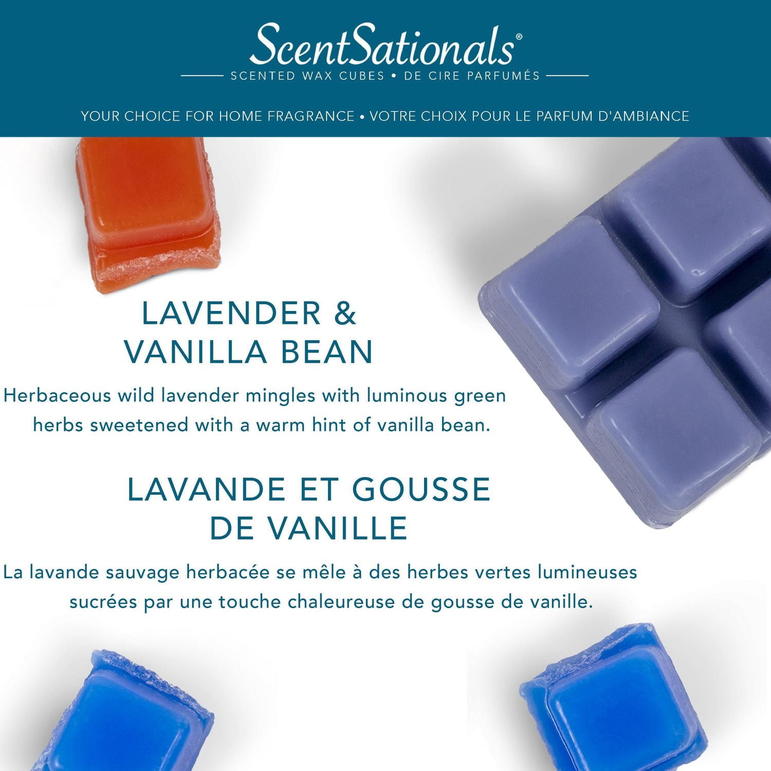 ScentSationals Scented Wax Cubes Value Pack - Lavender & Vanilla Bean, 5.0 oz (141.8g)
