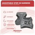 thumbnail image 3 of GFDYREE Step in Dog Harness for Small Dogs No Pull, Large, Light Gray - Adjustable Harness with Padded Mesh Fabric and Reflective Trim - Buckle Strap Harness for Dogs, 3 of 7