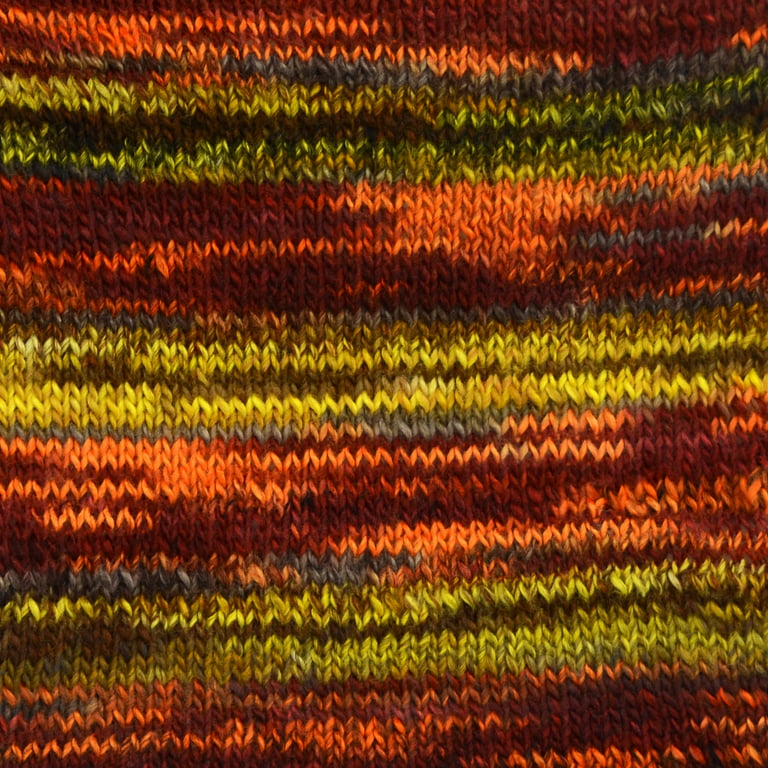 BERNAT Blanket Yarn 10.5oz 220 Yards Skein Light Teal / Orange Leaf /  Twilight
