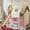 Pink, variant on Alukang Twin Size House Loft Bed with Sills and Tents, Solid Wood Loft Bed with Ladders and Slide, Chic Design with Lights, No Box Spring Needed (Natural-Pink)