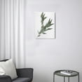 thumbnail image 3 of Botanical Plant Canvas Wall Art, Framed Boho Wall Decor for Bathroom, Minimalist Aesthetic Bedroom Wall Art, Sage Green Eucalyptus Leaf Prints for Office, 12x16, 3 of 7