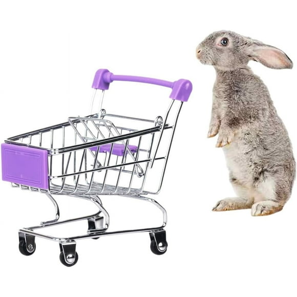 shiyou-Rabbit Toy Bunny Mini Shopping Cart Small Animal Supermarket Handcart Hedgehogs Parrot Bird Cats Mice Dutch Pigs Hamsters Guinea Pig Lizard Chinchilla Squirrel (Purple)