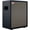 Black, variant on Positive Grid Spark CAB Powered FRFR Speaker Cab - Black
