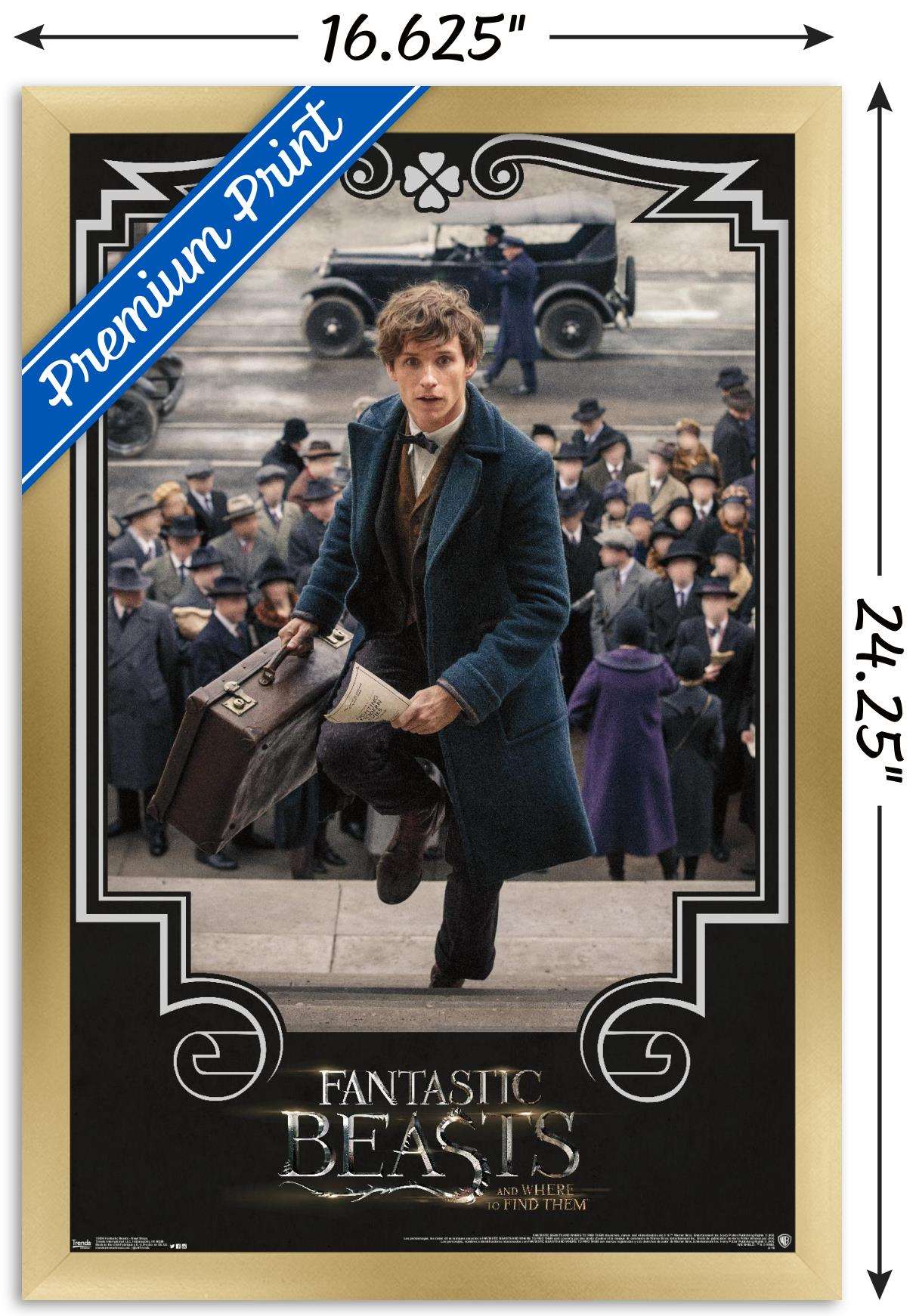 Fantastic Beasts And Where To Find Them - Newt Steps Wall Poster, 14.725" x 22.375", Framed