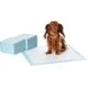 thumbnail image 1 of Basics Dog Puppy Training Pads, Leak-Proof 5-Ply Design with Quick-Dry Surface, Regular Size (Pack of 50), Blue, 1 of 5