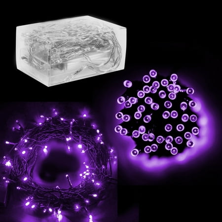 Battery Operated Mini String Lights 30 Mini Bulb LED Battery Operated Fairy String Lights in Purple (158