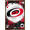 Bronze Framed Version, variant on NHL Carolina Hurricanes - Maximalist Logo 23 Wall Poster with Push Pins, 22.375" x 34"