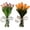 B, variant on Radiant Romantic Tulip Light, Twinkling Tree Tulips Led Night Light, Artificial Bouquet Tulips Flower Shaped Ambient Night Lamp Bedroom Decorate Holiday Gifts (C)