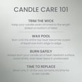 thumbnail image 5 of Yankee Candle Holiday Bayberry Original Large Jar Scented Candles, 22 oz, 5 of 7