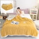 thumbnail image 1 of Manta de tafetán de lana de cordero | Manta doble gruesa para siesta en la oficina | Funda suave y acogedora para el sofá | Capa de cama cálida para el hogar o la oficina, 1 of 6