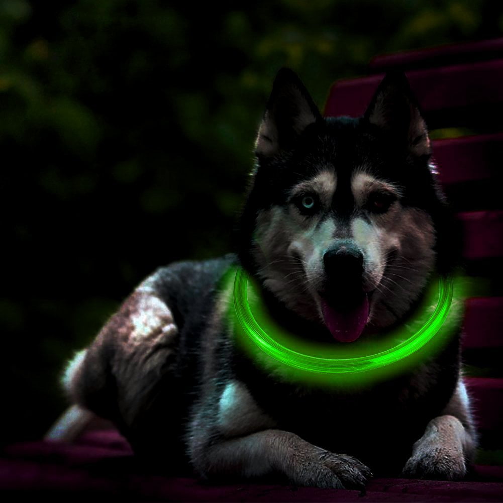 led cat collar