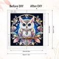 thumbnail image 2 of Showy Fighting Owl Diamond Art Painting Kit, 2 of 8