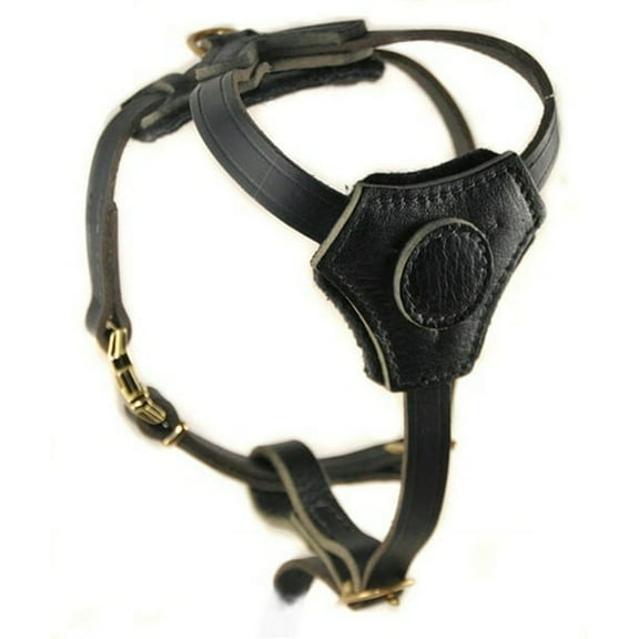 Dean & Tyler Leather Harness for Puppies & Small Dogs Classic Knight Black Small