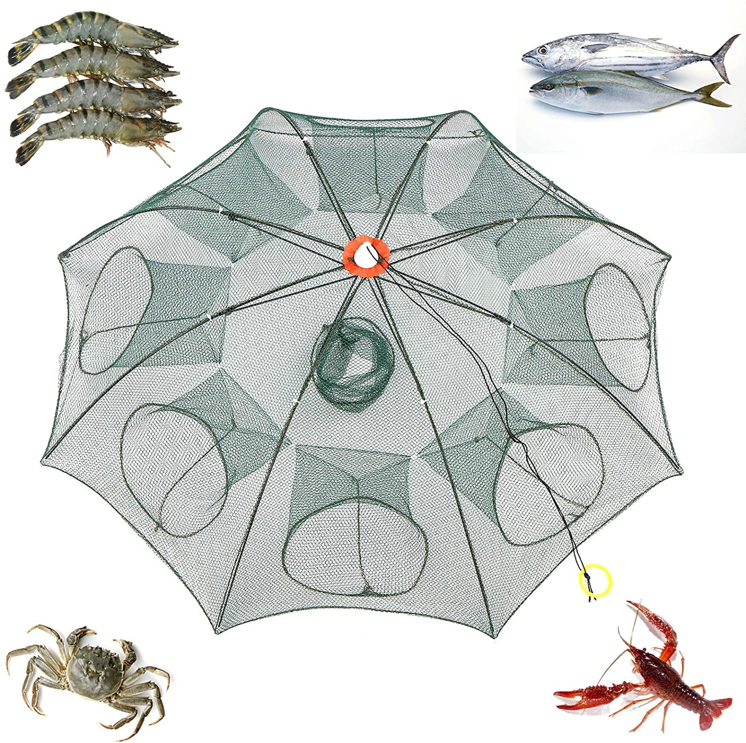 Fishing Bait Trap Crab Net Crawdad Shrimp Cast Dip Cage Fish Minow Foldable NEW 