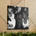 thumbnail image 6 of Oak Tree Splendor Dawn - Canvas, 6 of 10