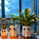 thumbnail image 1 of Bonita Maceta y Jarrón Fantasma: Decoración de Halloween Espeluznante para Interiores y Exteriores, Expositor de Helechos y Cuenco de Dulces, Decoración de Plástico Duradero para El Hogar y El Jardín, 1 of 2