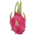 thumbnail image 1 of Shisuyan Artificial Pitaya Figurines Red Plastic 1Pcs 7.5X3.5X3.5In, 1 of 8