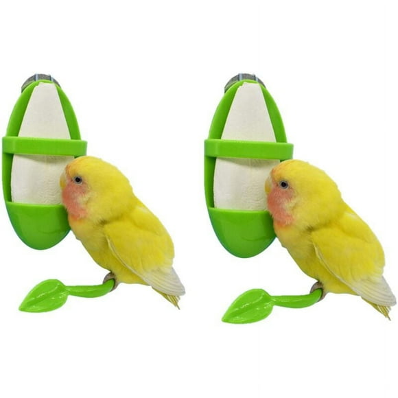 Jinsinto 2pcs Bird Support Perch, Parrot Cuttlefish Skeleton Bird Support Stick, Grinding Leg Climbing Props Standing Bird Branch Perch for Budgies, Budgies, Lovebird