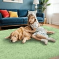 thumbnail image 4 of 5x7 Area Rugs for Living Room Rug: Soft Fluffy Shag Mint Green Rugs for Bedroom, Non-Slip Large Fuzzy Plush Rug Indoor Floor Carpet for Nursery Kids Boys Girls Room, Dorms, Playroom, 4 of 17