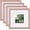 Peach Pink, variant on 4x4 Picture Frames Set of 4, Made of Solid Wood Covered by Plexiglass Display 4x4 for Table Top Display and Wall Mounting Photo Frame, Black