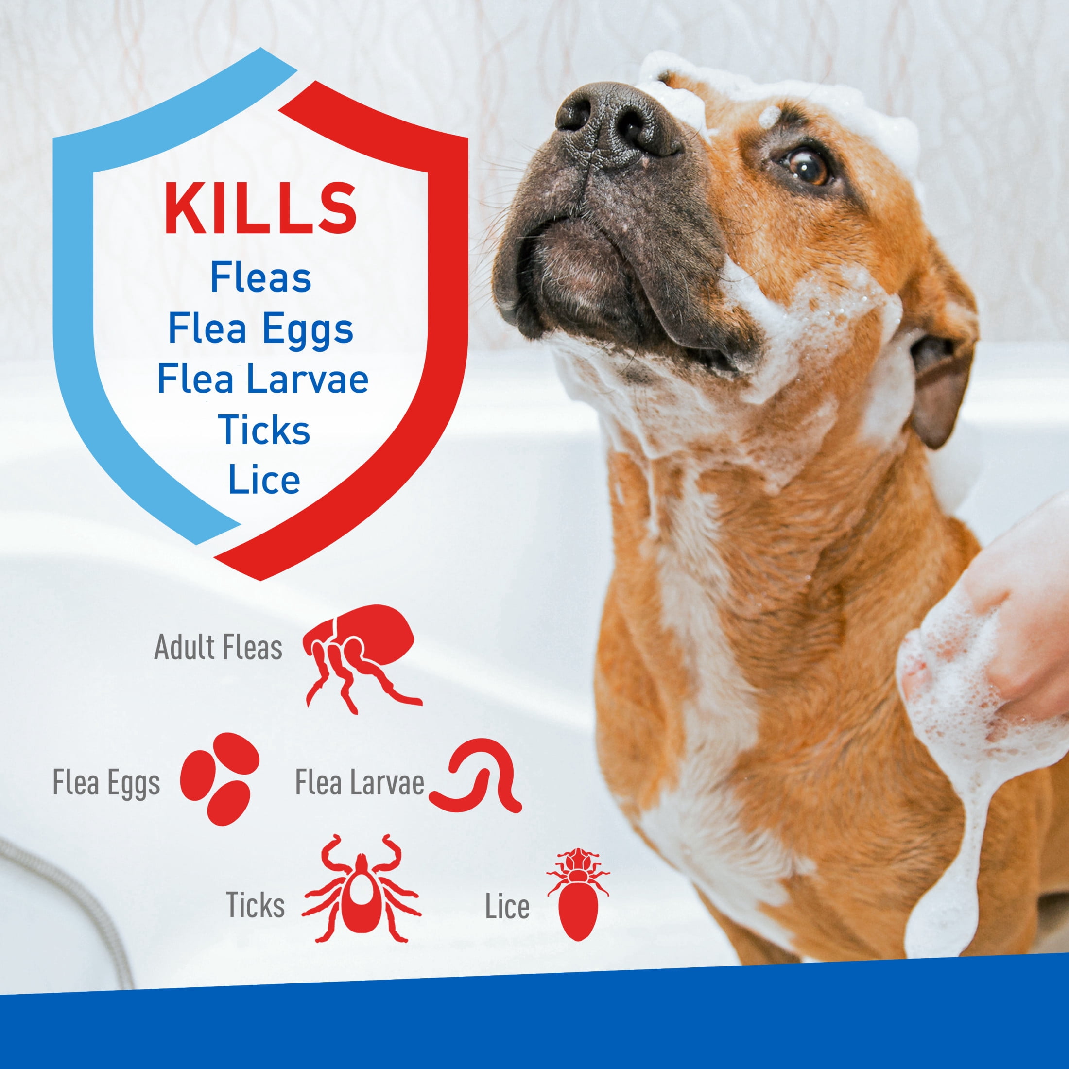 ADAMS Plus Flea & Tick Shampoo with Precor for Dogs & Puppies, Flea Shampoo to Treat Flea Infestations, Kills Ticks, Fleas, Flea Eggs & Lice, Cleans and Conditions Coat, 24 fl oz