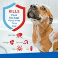 thumbnail image 4 of Adams Plus Flea & Tick Shampoo with Precor for Dogs & Puppies over 12 Weeks of Age, 24 oz, 4 of 12
