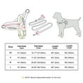 thumbnail image 2 of Didog No Pull Dog Harness and Leash set Soft Padde Nylon Adjustable with Control Handle, 2 of 5