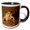 Black/White, variant on 3drose, Gulf Coast Toad, Bufo Valliceps, Texas Coastline - Us44 Mpr0050 - Maresa Pryor, 15oz Two-tone Yellow Mug