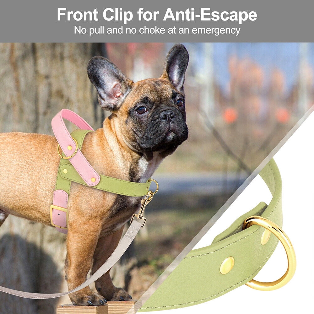Didog Fashion No Pull Front Leading Dog Harness Soft Leather Adjustable Chest Vest with Handle