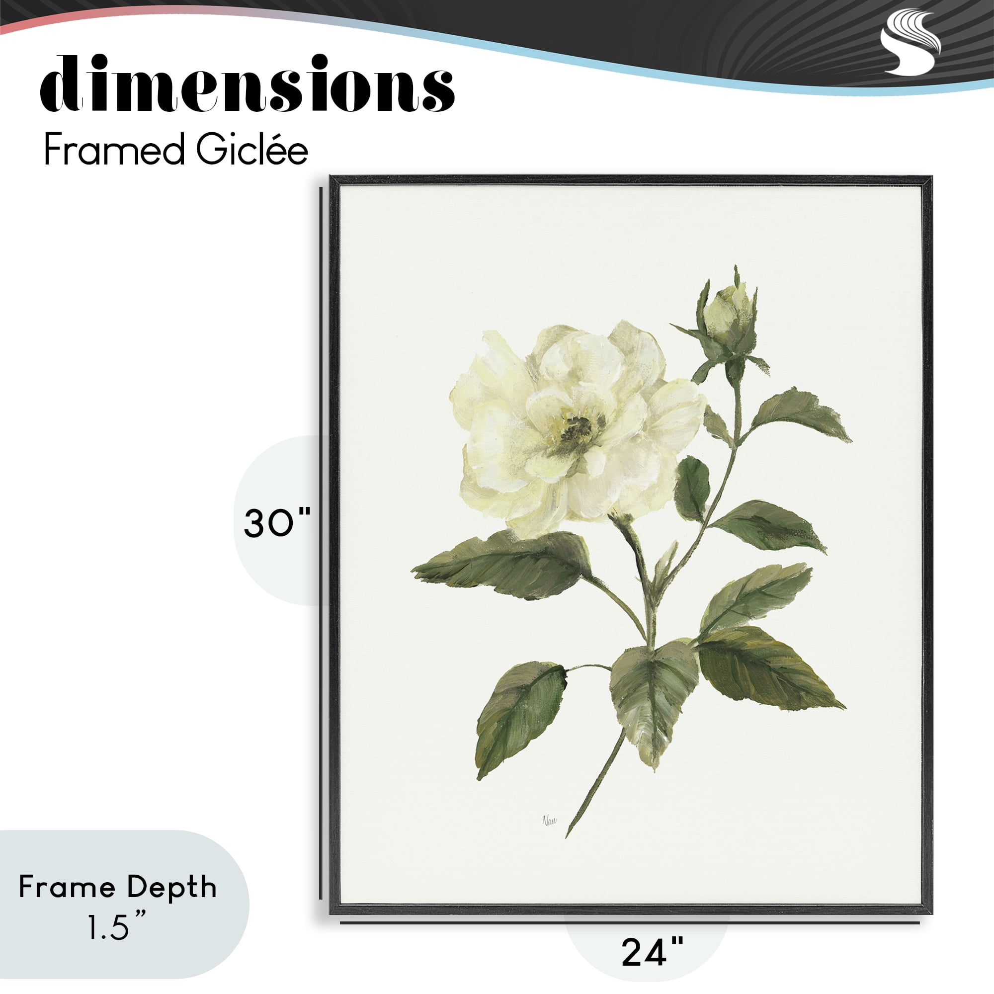 Stupell Industries Ivory Rose Bloom With Green Foliage Black Framed Giclee Art, design by Nan