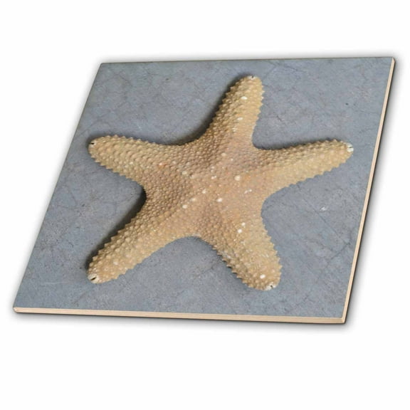 3dRose, Starfish Shell, 4 Inch Ceramic Tile