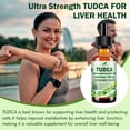 thumbnail image 4 of Vitaplynxera TUDCA 1200mg Liquid Drops | Bile Salts Supplement for Liver Support, Gallbladder Cleanse & Gut Health, 4 of 11