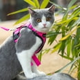 thumbnail image 6 of Mr. Peanut's PurrTrek Reflective Cat Harness with Matching Leash, 6 of 8