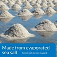 thumbnail image 5 of API Aquarium Salt 1/2 Gallon, 5 of 5