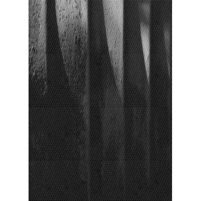 Ahgly Company Tapis Rectangulaire d'Intérieur Lavable en Machine Transitionnel Noir Nuit, 6 Pieds x 9 Pieds