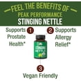 thumbnail image 2 of USDA Organic Stinging Nettle Vegan Capsules Made with Stinging Nettle Leaf Powder for Prostate, Hair Growth, Allergy. Better Than Root or Seed Extract. Plant Based Herb Supplement Tablets, 60 Pills, 2 of 7