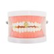 thumbnail image 2 of Ofertas Únicas 1 Pc Rejillas Falsas Dientes en Forma de Flecha Hip Hop Grillz Tono Dorado, 2 of 6