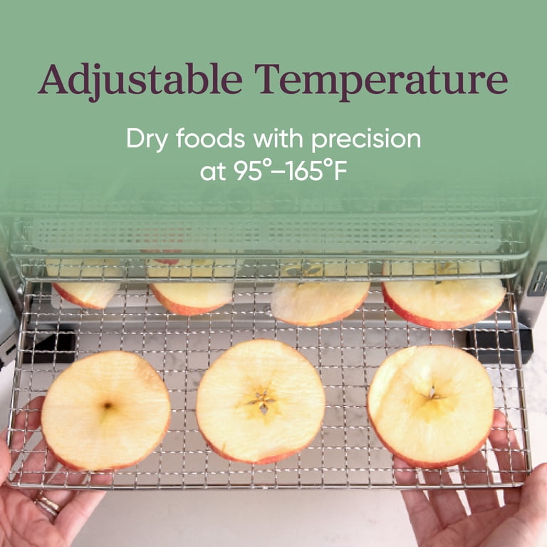 COSORI Electric Food Dehydrator, 600W, 6 Steel Trays, Bonus
