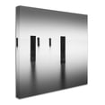 thumbnail image 3 of Trademark Fine Art Dave MacVicar 'Lucid' 35 x 35 (ALI0841-C3535GG), 3 of 4