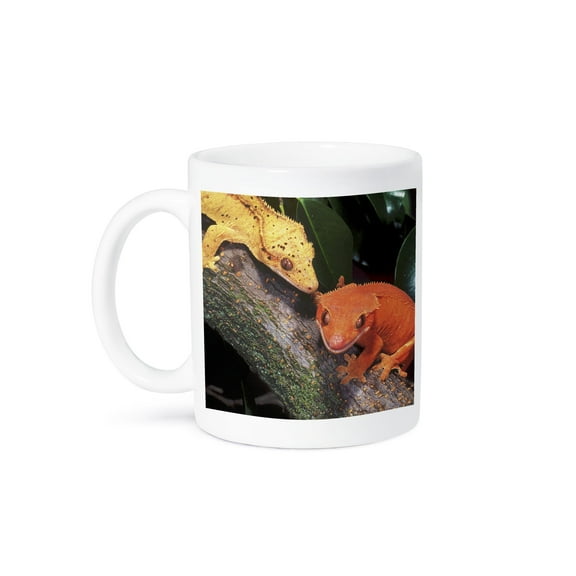 3dRose, New Caledonia Crested Geckos, lizard - NA02 DNO0243 - David Northcott, 15oz Mug