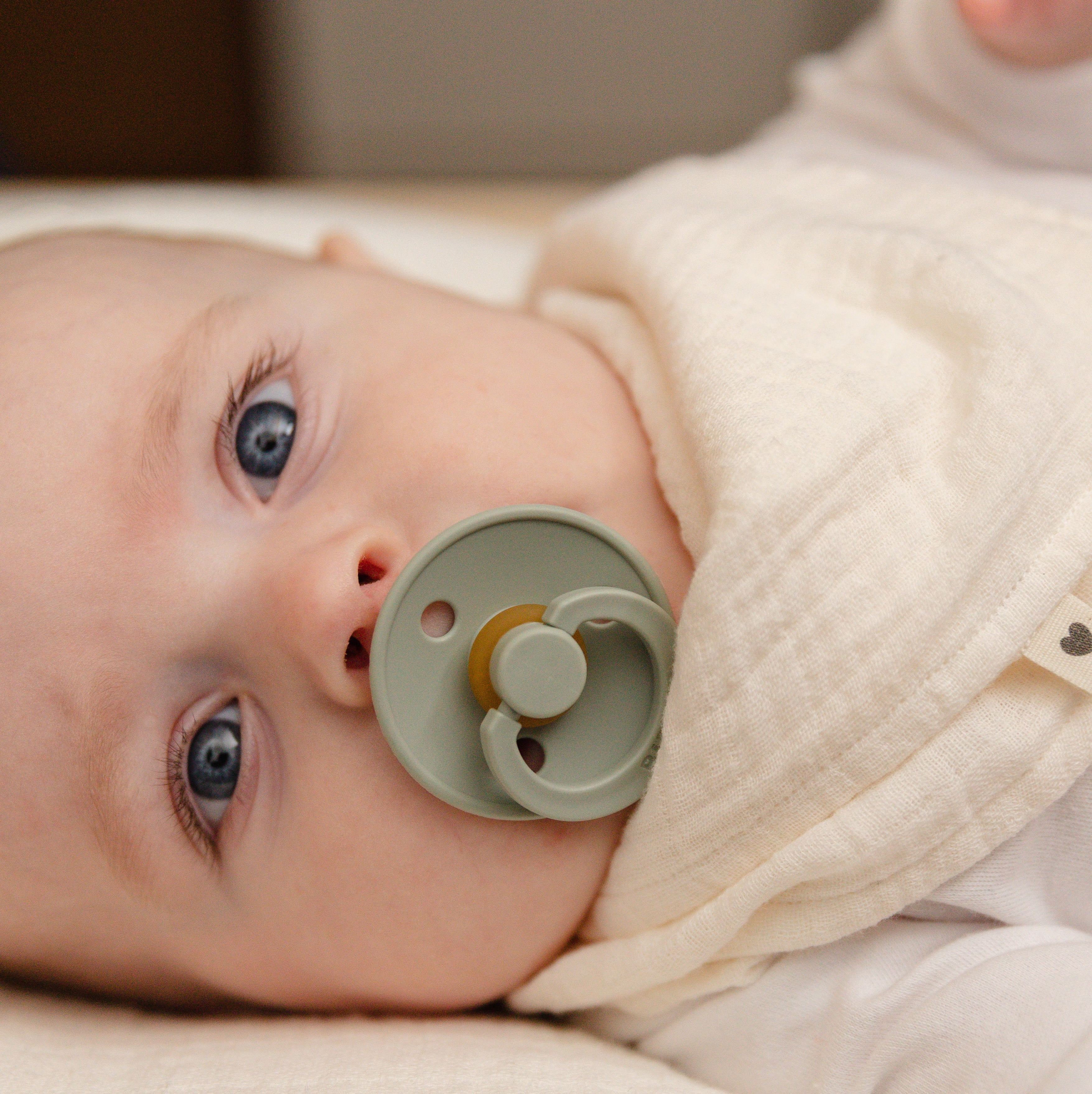 BIBS Colour, Natural Rubber Latex Pacifier Size 1, 0-6 Months, Sage, Gender-Neutral, 1 Count
