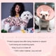 thumbnail image 5 of Traje de recuperación para perros Kuoser para perros después de una cirugía, color rosa XS, 5 of 7