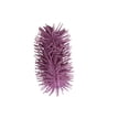 thumbnail image 4 of Squishy de Arena Prichos Sensorial Varios Modelos 1 Pieza, 4 of 4