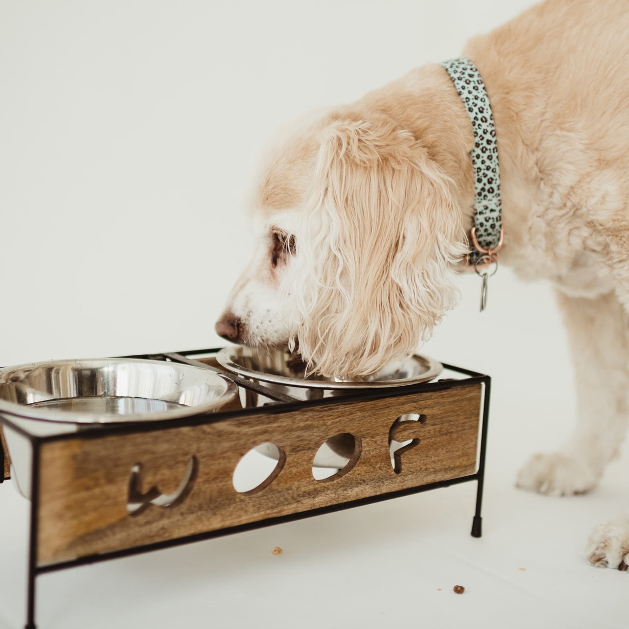 Wooden Woof Cut Dog Diner | Large
